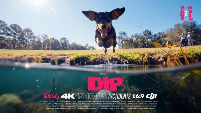 Dip