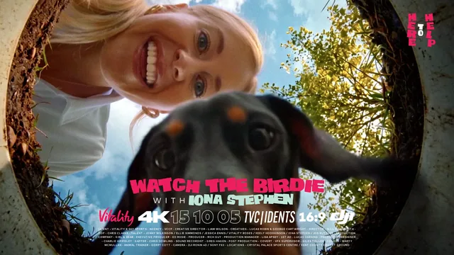 Watch The Birdie · Iona Stephen