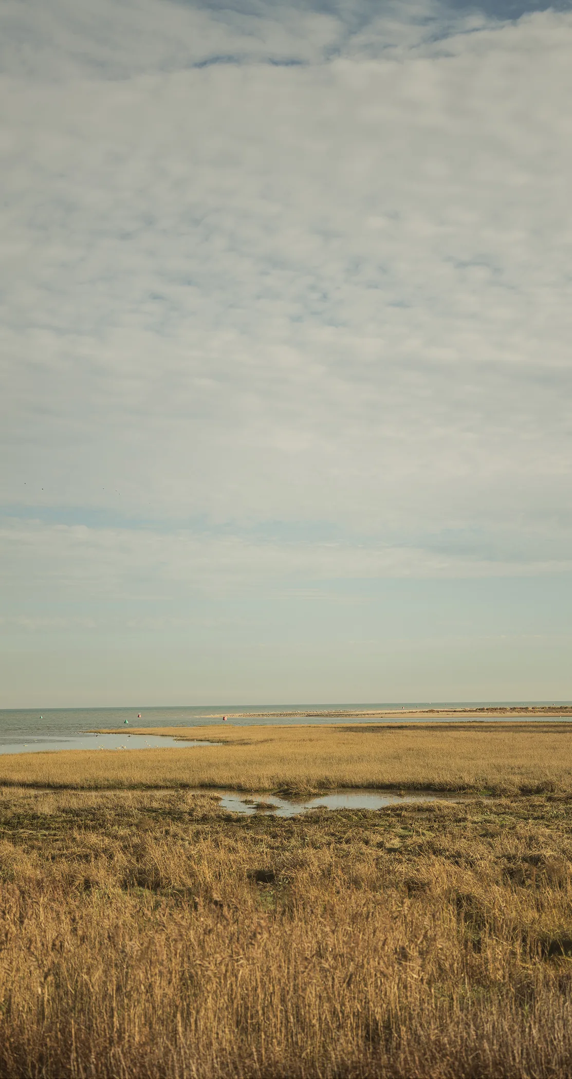 Tidal channel across the marsh under a soft sky, Margate